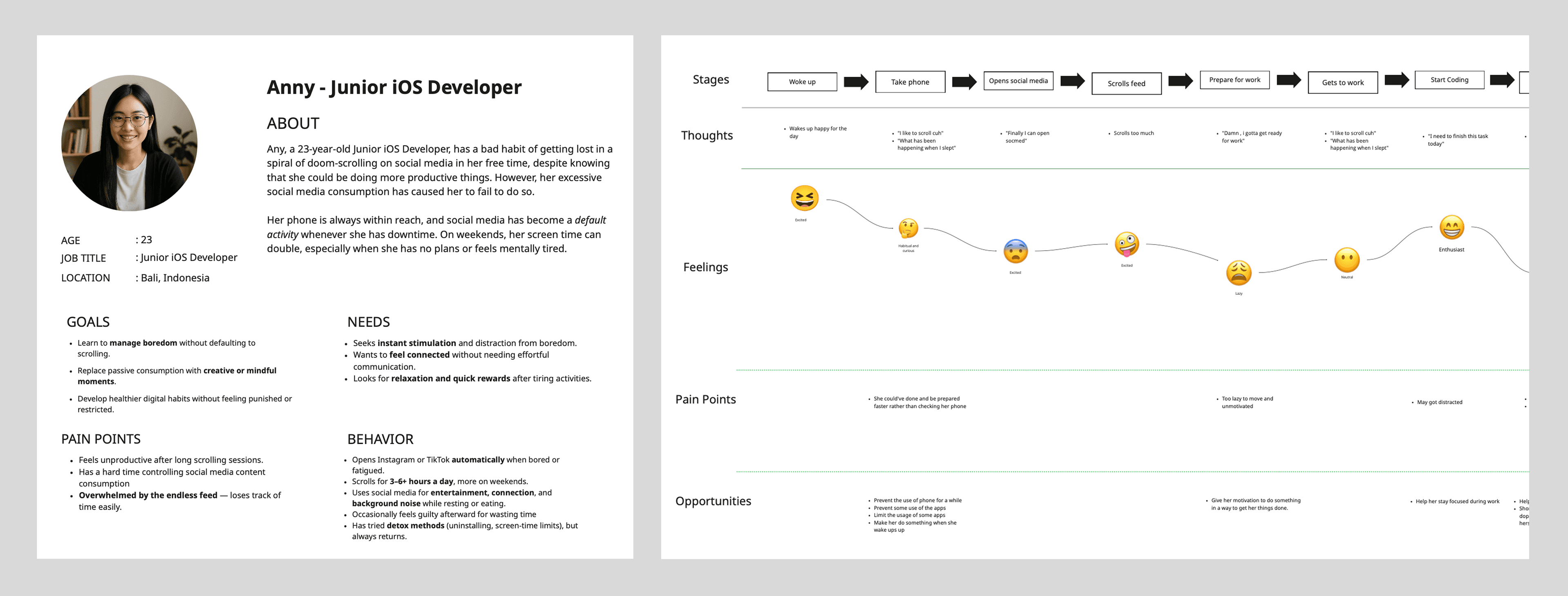 User Persona and Experience Map